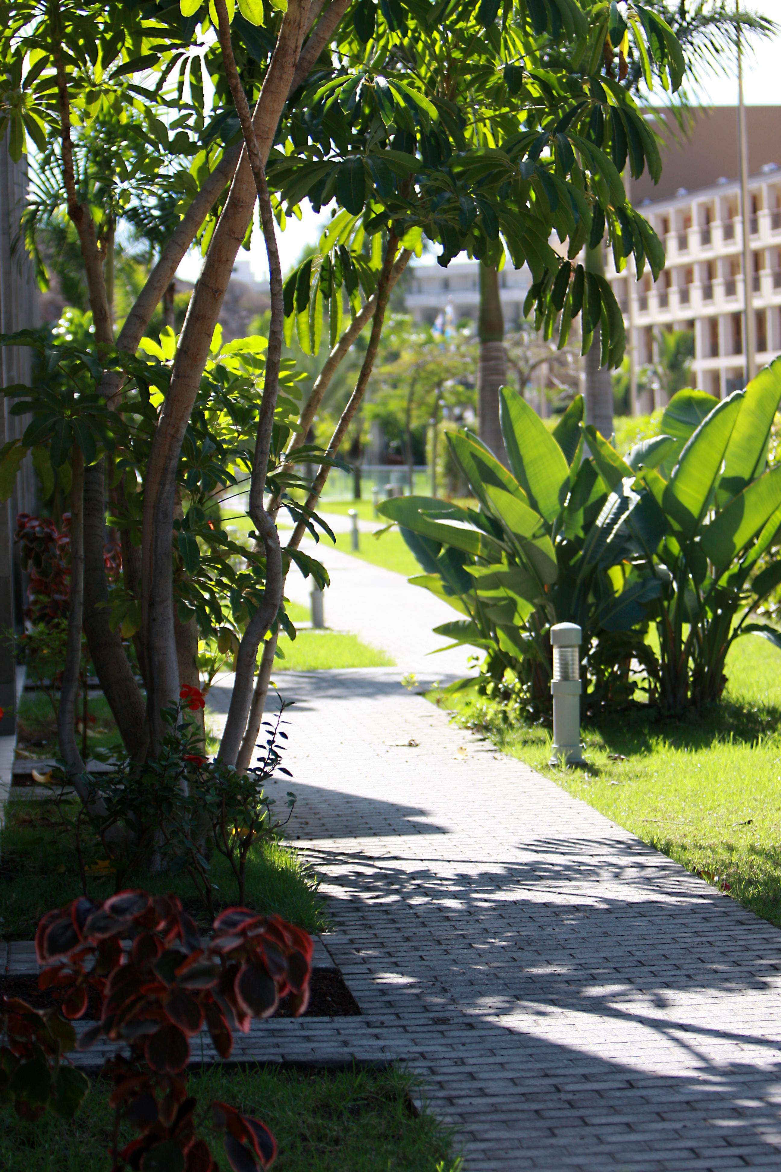 Hotel Livvo Costa Taurito & Aquapark (Adults Only) 外观 照片